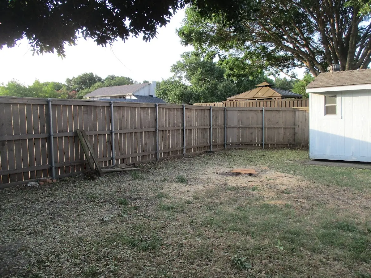 Cleared yard after professional tree removal in Mount Laurel